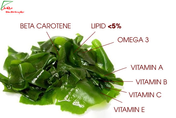 công dụng làm đẹp của rong biển